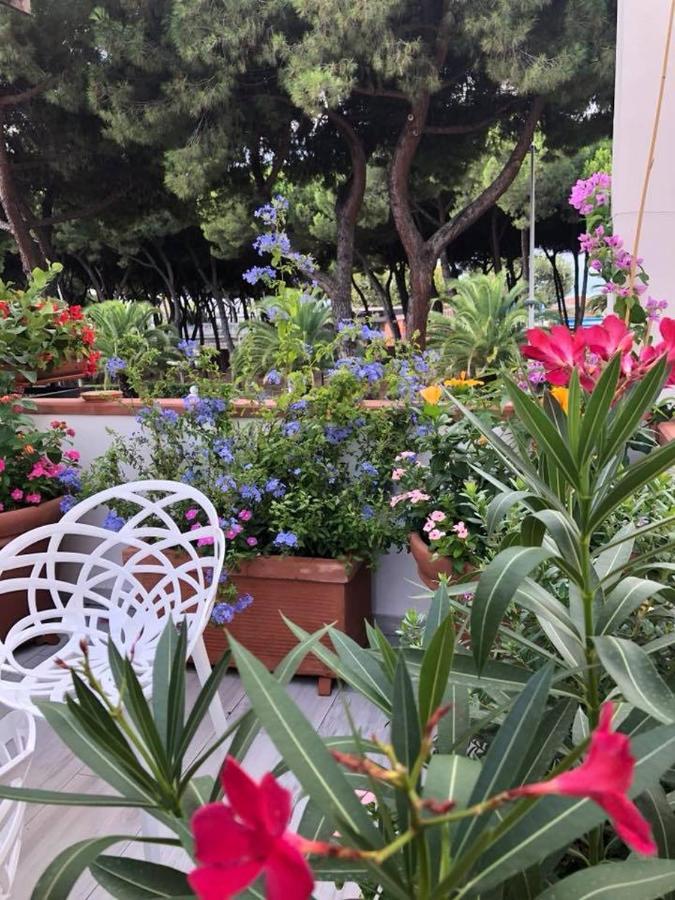 مبيت وإفطار مارينا دي كارّارا Brezza Marina المظهر الخارجي الصورة
