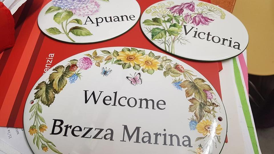 مبيت وإفطار مارينا دي كارّارا Brezza Marina المظهر الخارجي الصورة
